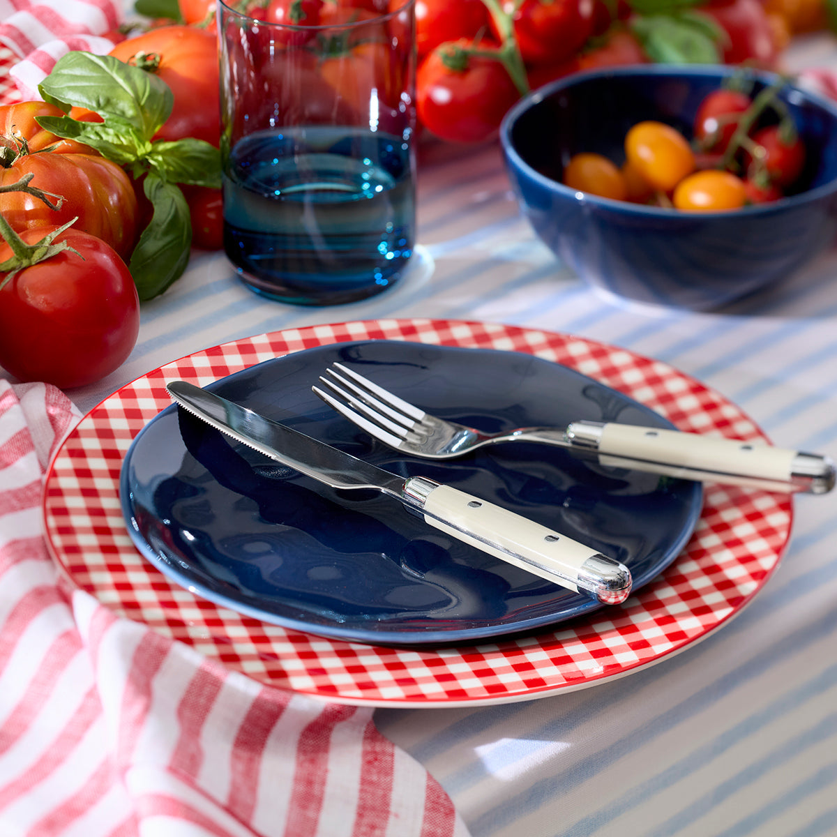 Gingham Red Dinner Plates, Set of 4