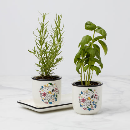 Chef Snoopy Herb Pots, Set Of 3