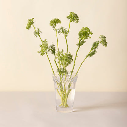 Kobenhavner Small Clear Glass Vase