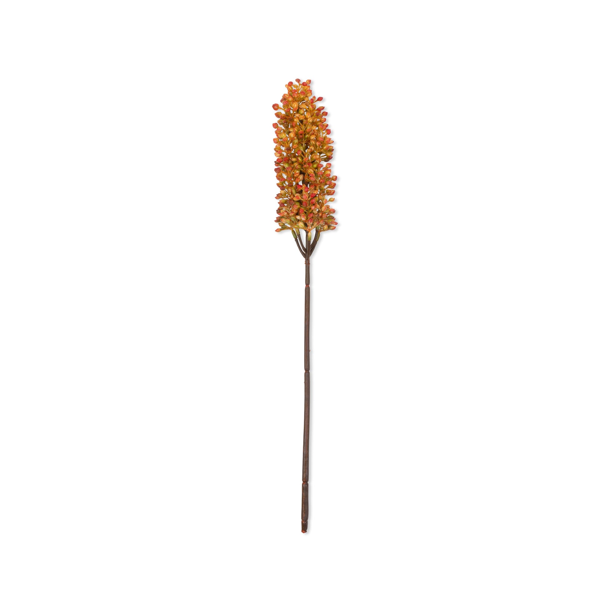 Artificial Sunset Sorghum Stem